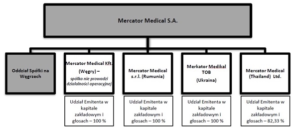 Struktura organizacyjna Mercator Medical Struktura organizacyjna Mercator Medical