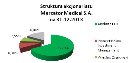 Struktura akcjonariatu Struktura akcjonariatu