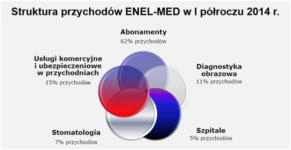 Struktura przychodów Enel Medu Struktura przychodów Enel Medu