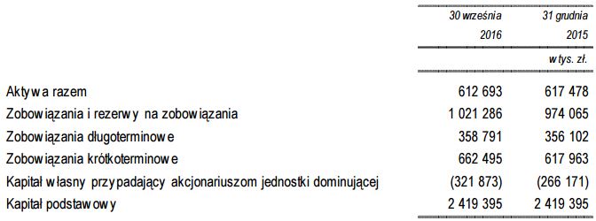 Petrolinvest - Aktywa