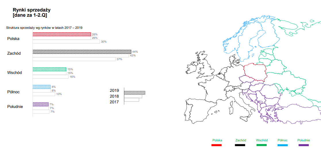 Struktura geograficzna przychodów spółki Amica