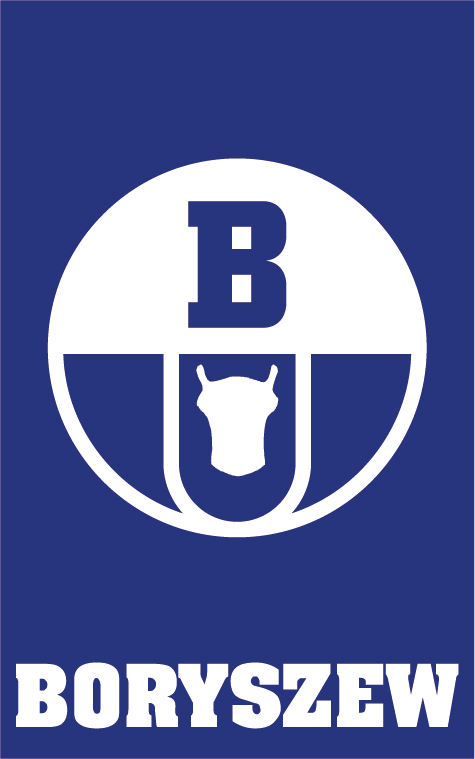 Boryszew Boryszew