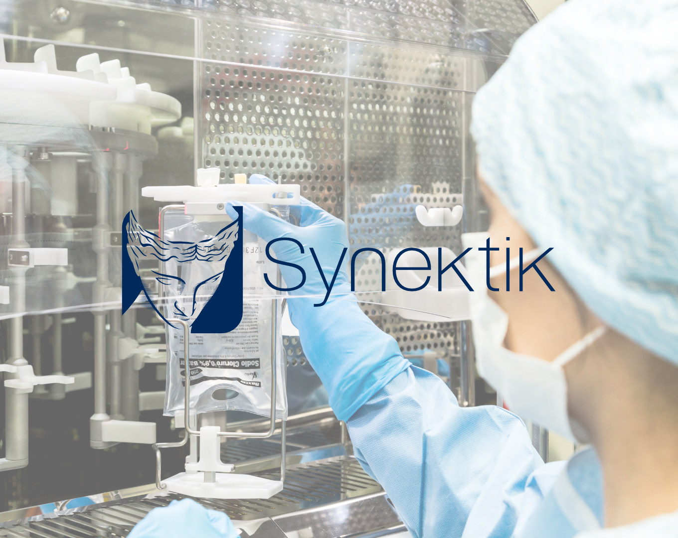 Synektik po 2Q FY2025. Wzrost wyniku i prostszy profil. Co dalej? [Analiza] (Analizy i komentarze)